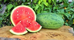 watermelon strawberry1